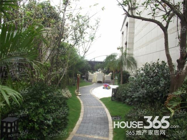 【老白下 世茂君望墅 月牙湖板块 城中叠墅 免税