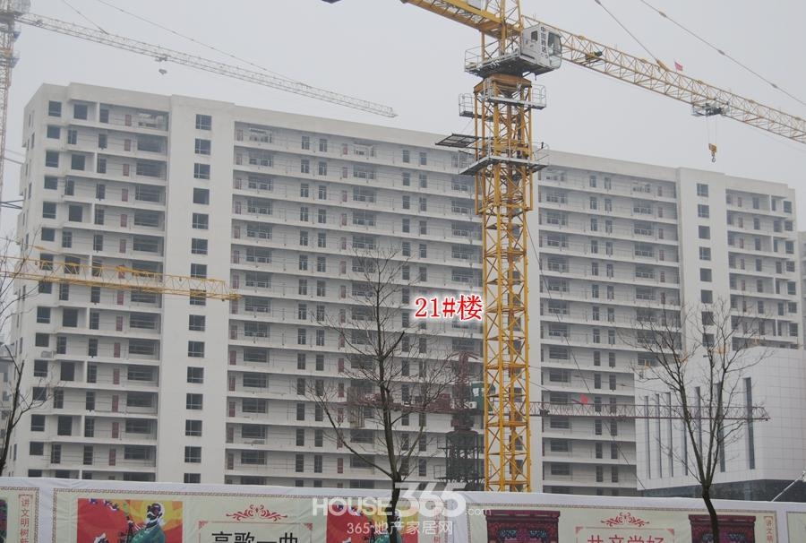 柏庄财富广场工程进度（2015年2月摄）