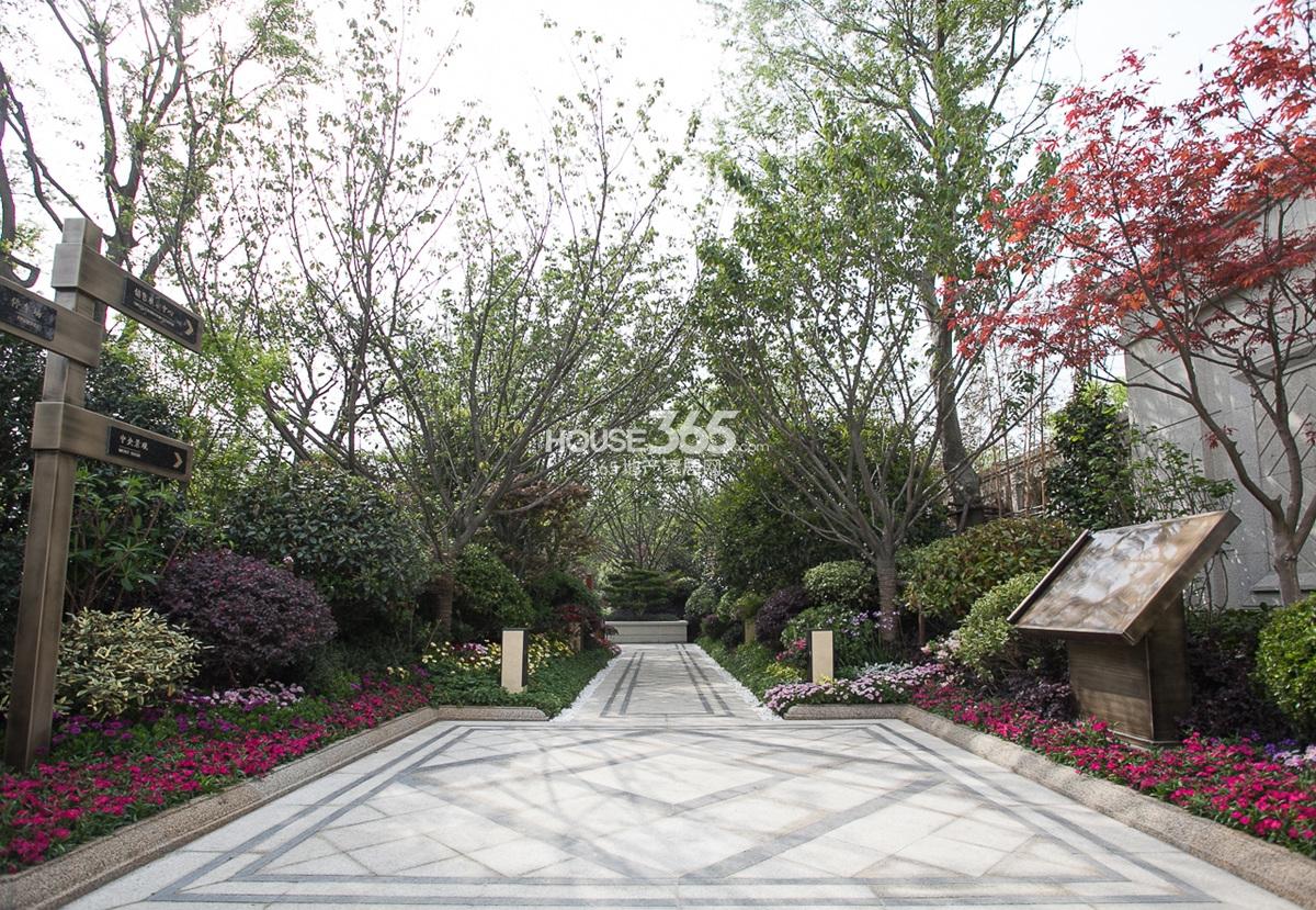 2015年4月底金隅学府项目现场售楼处实景