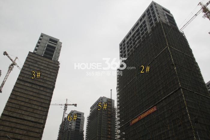 滨江金色江南2、3、5、6号楼施工实景图 2015年5月摄