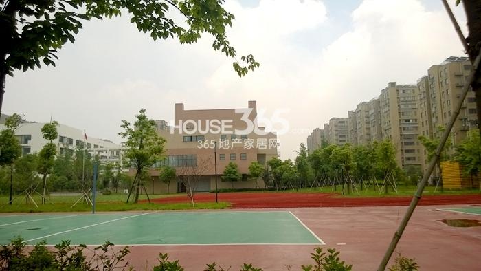 汉嘉柒号周边浙师大附小  2015年5月摄