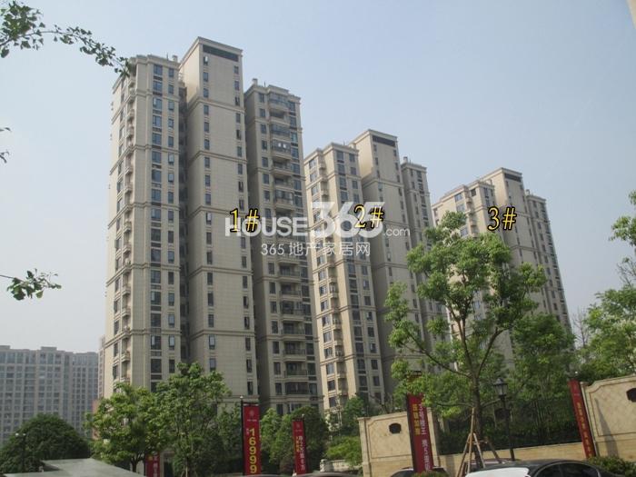 2015年5月底中粮方圆府项目实景--1、2、3号楼