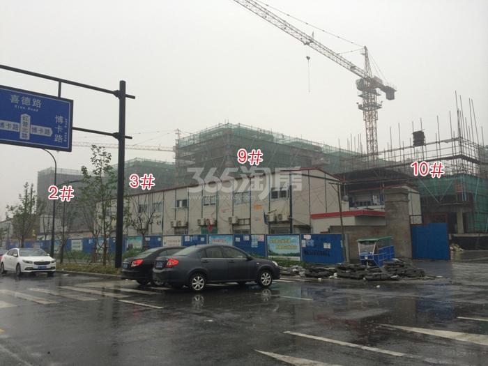 朗诗花漫里2、3、9、10号楼施工进程图（2015.6）