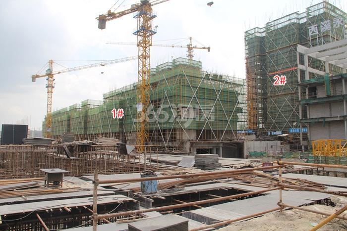 西溪永乐城项目1、2号楼施工进程图（2015.8）