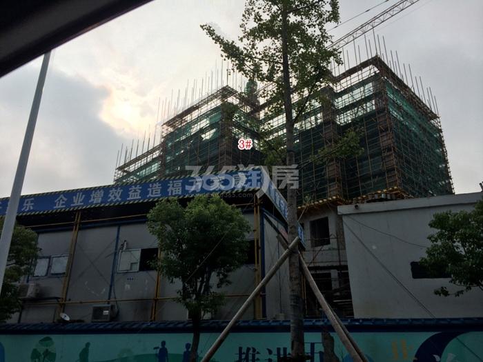 滨江东方海岸3号楼施工进度实景图 2015年8月摄 