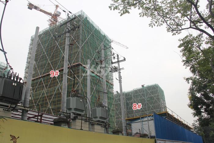滨江华家池8、9号楼施工进度实景图 2015年9月摄