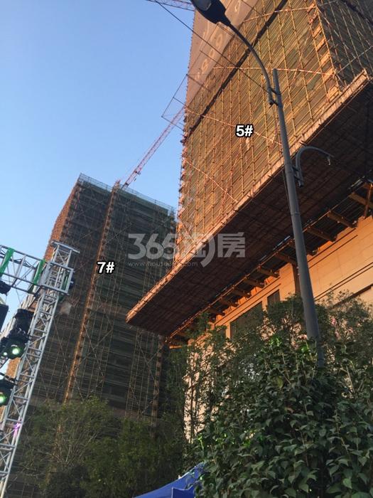 东晖龙悦湾项目高层5、7号楼施工进程图（2015.10）