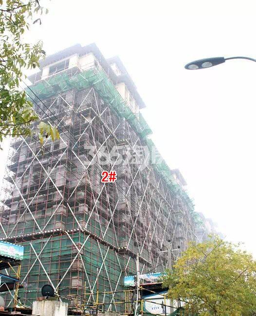 绿城蓝庭项目2号楼施工进程图（2015.12）