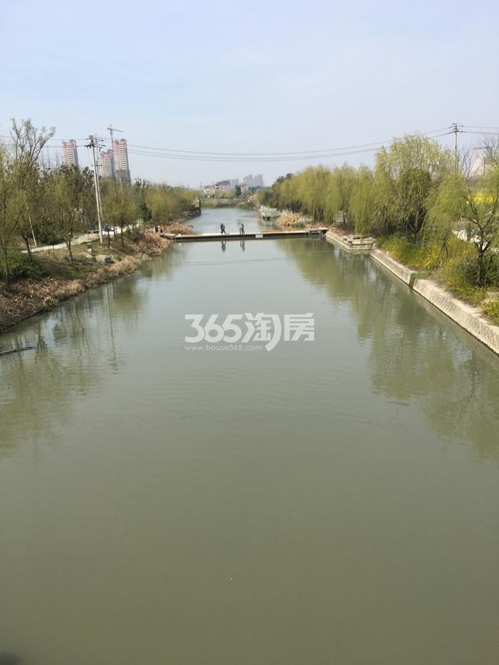 2016年3月广宇万科公园里项目周边河道