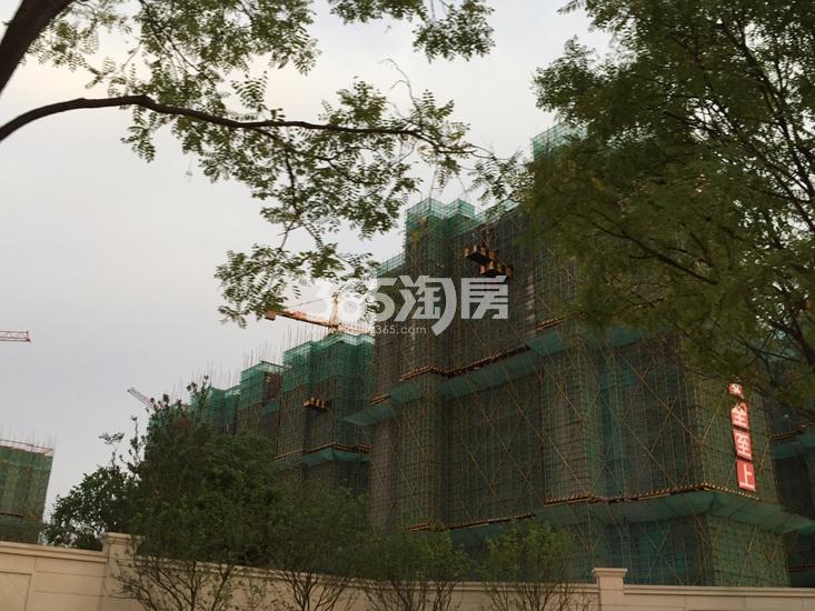 中海玄武公馆项目实景图（09.15）