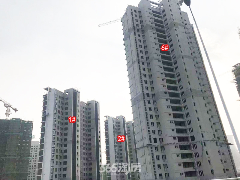 华侨城运河湾C区1#、2#、6#楼工程实景图（2020.10.31 摄）