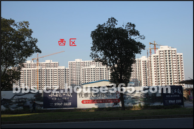 滨江明珠城